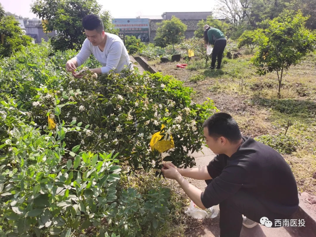 天植中藥公司黨支部開(kāi)展黨史學(xué)習(xí)教育