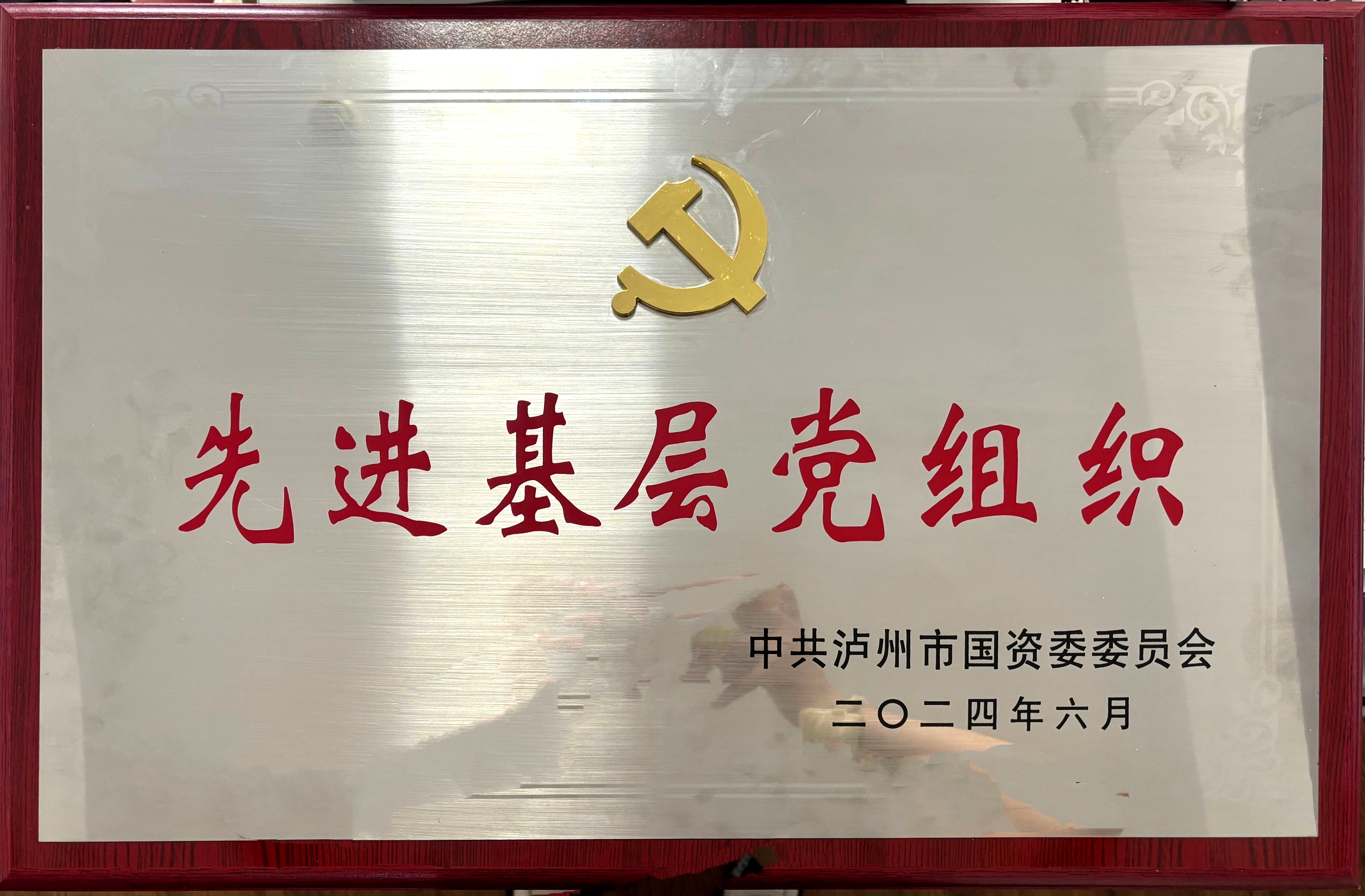 喜報！醫(yī)療投資公司黨支部獲評市國資系統(tǒng)先進基層黨組織